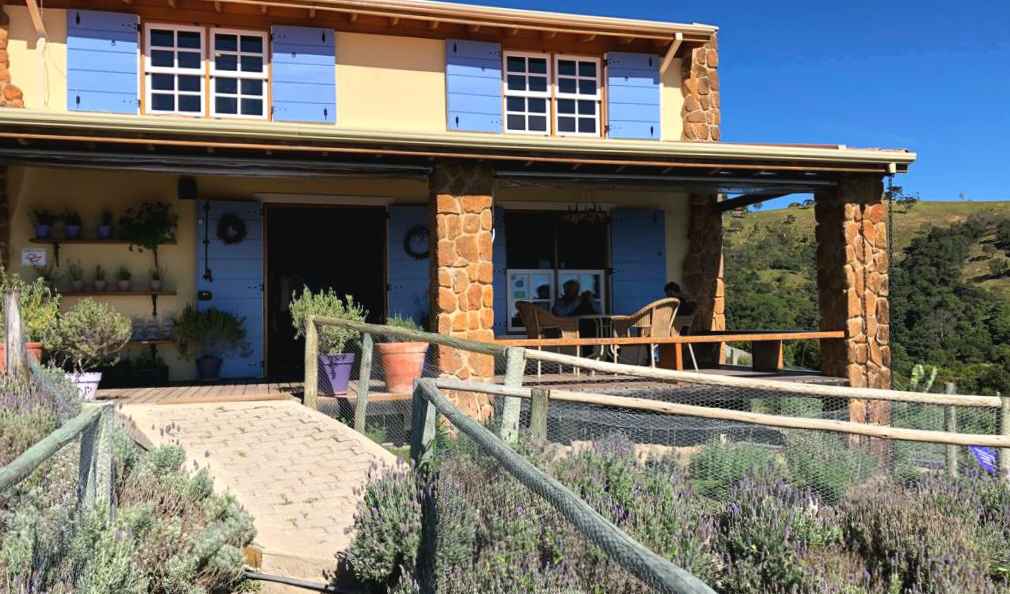 Lavandário em Cunha