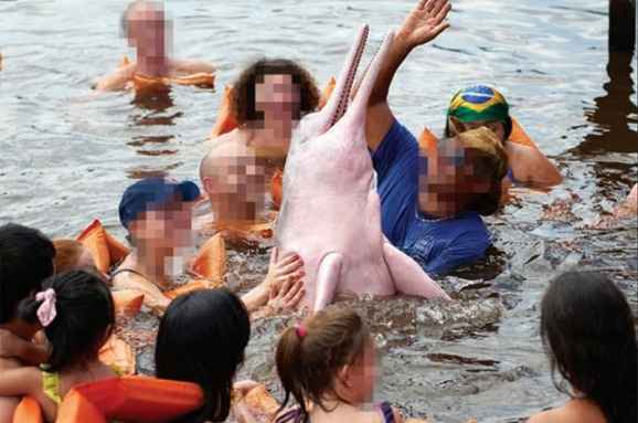 Nado com botos-cor-de-rosa